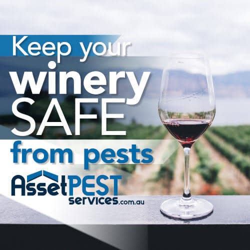 Keep Your Customers Happy with Our Commercial Pest Control Solutions