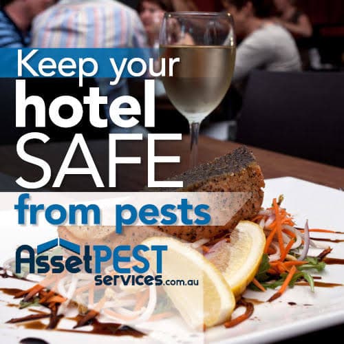 Why Pest Control Matters for Restaurants