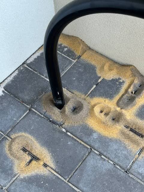 Ant Control