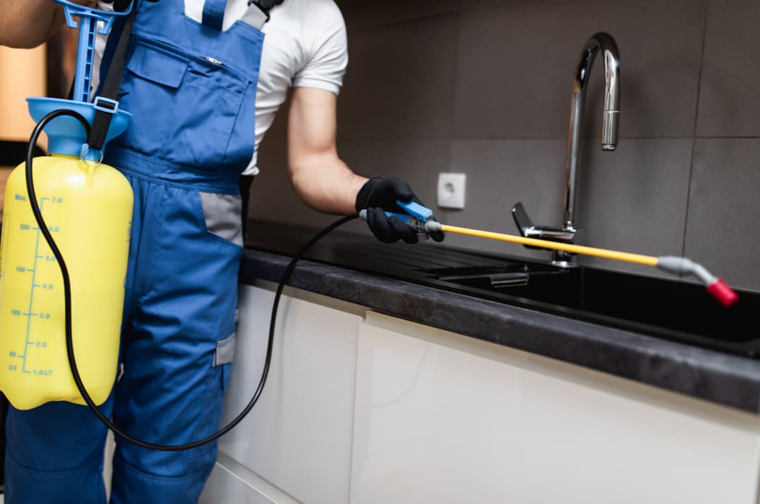 Pest Control for Restaurants